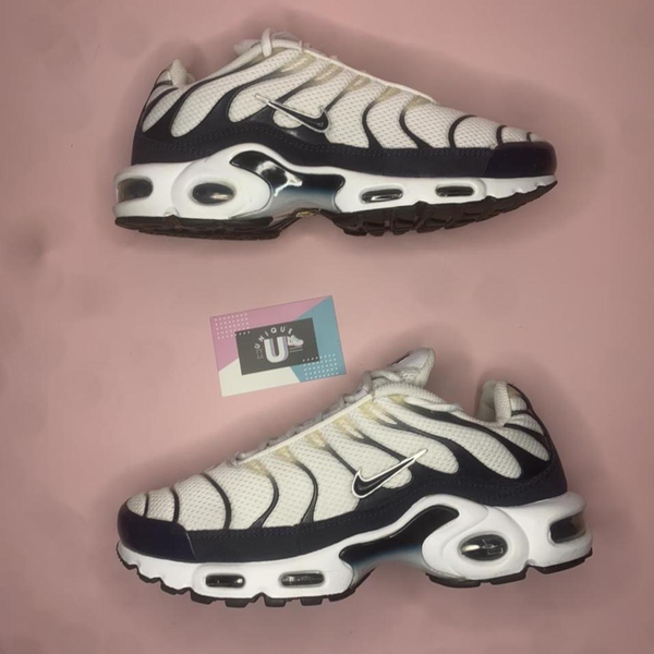 Nike Air Max TN Plus Premium White Navy Suede Mesh